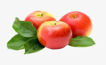 苹果树上的外婆读后感最新8篇