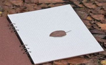 评优秀班主任演讲稿通用8篇