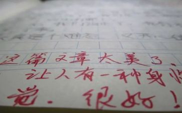 差评语作文精选8篇