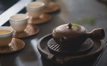 品味人生作文7篇