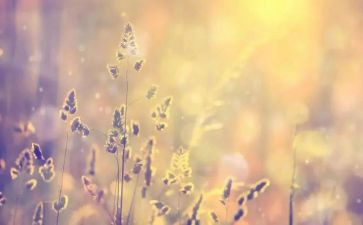 牵挂的作文推荐6篇