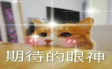 2024期待作文优质6篇