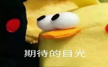 我期待的初中作文优质5篇