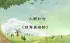 小班科学奇妙的雪教案5篇
