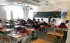 小学期末总结及计划5篇