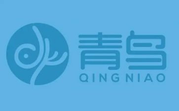 q青鸟读后感7篇