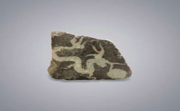 二年级黄山奇石教案8篇