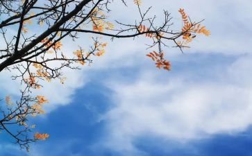 小班中秋节活动总结5篇