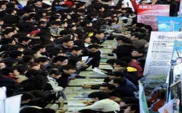 求职网简历模板5篇