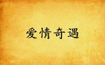 木有奇遇记读后感推荐7篇