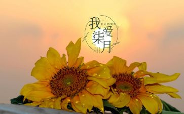 小班七月工作总结7篇