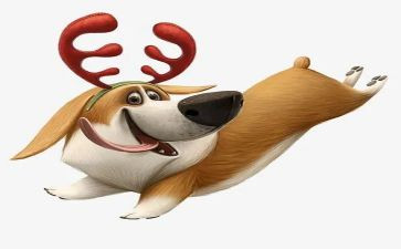 犬只训练合同6篇