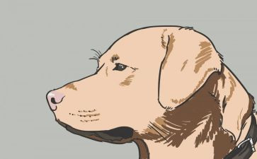 犬只买卖合同最新7篇