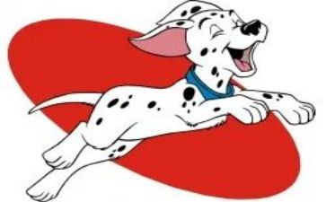 导盲犬迪克读后感6篇
