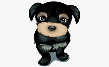 犬只买卖合同优质6篇