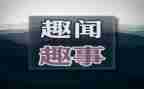 清明趣事作文8篇