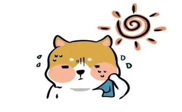 小班冷与热教案模板8篇