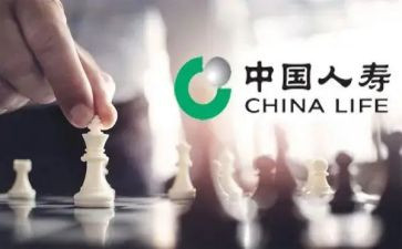中国人寿柜员工作总结7篇