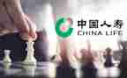 中国人寿柜员工作总结7篇