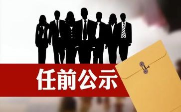 任职以来专业工作总结6篇
