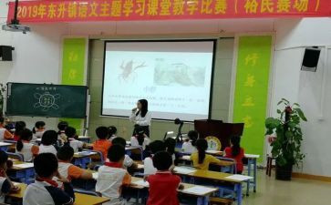 赛课的心得7篇