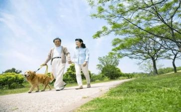 《散步》读后感最新5篇