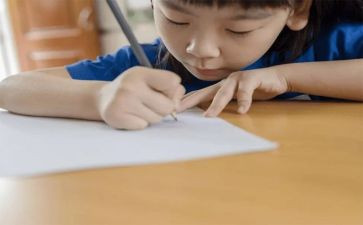 三年级上册语文教学工作总结7篇