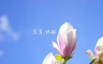 幼儿园中班三月份工作计划7篇