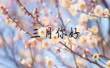 2024幼儿园小班三月份工作总结8篇
