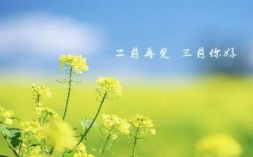 三月份小班月工作总结精选8篇