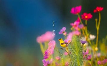 小学红三月活动总结6篇