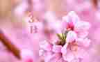 幼儿园老师三月总结5篇