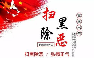 扫黑年度工作总结7篇