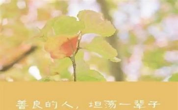 善卷洞作文8篇