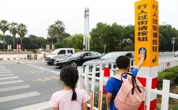 对新教师上岗培训总结7篇
