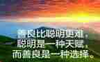 关于善与恶的心得体会作文模板7篇