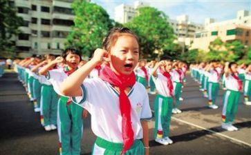 村小学少先队工作总结模板5篇