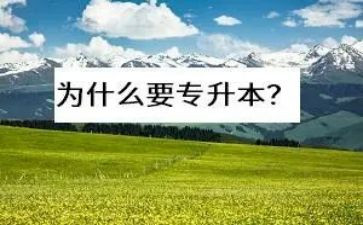 退专升本前的申请书优秀6篇