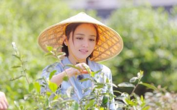 团的生活心得体会推荐7篇