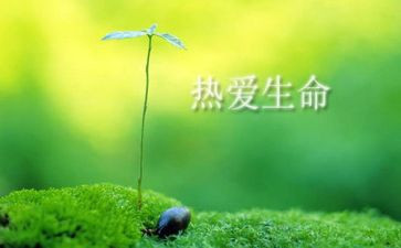 生命,生命读后感推荐8篇