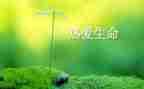 小班生命课教案6篇