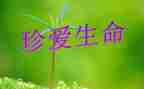 生命的故事的读后感5篇