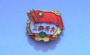 省三好主要事迹模板5篇