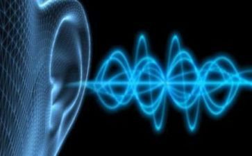 秋的声音作文800字5篇