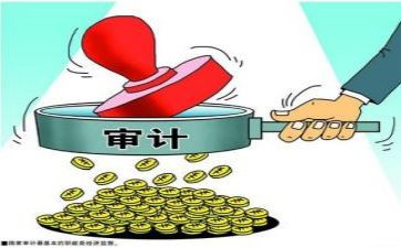 审计工作上半年总结5篇