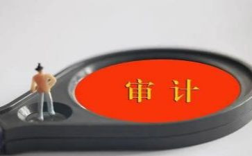 审计的工作总结模板6篇