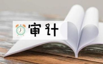 审计助理心得体会7篇