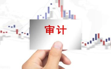 年终审计工作总结模板6篇