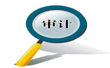 2024审计工作报告8篇