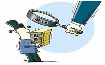 审计的工作总结参考5篇